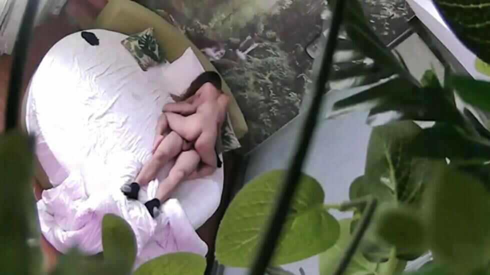 欧美aA片免费在线观看,久久偷看各类wc女厕嘘嘘偷窃